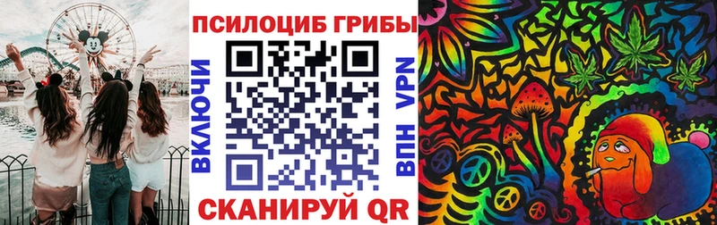 ссылка на мегу ссылка  Норильск  Галлюциногенные грибы Psilocybe 