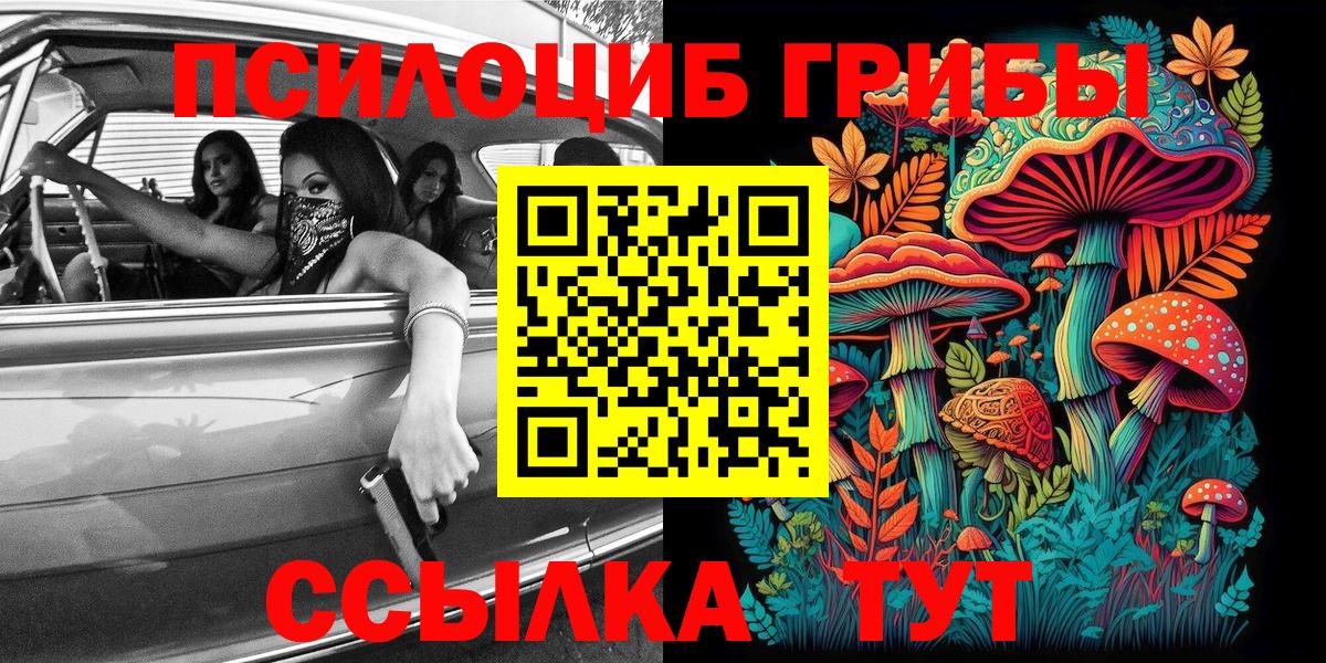 Псилоцибиновые грибы Psilocybe Норильск