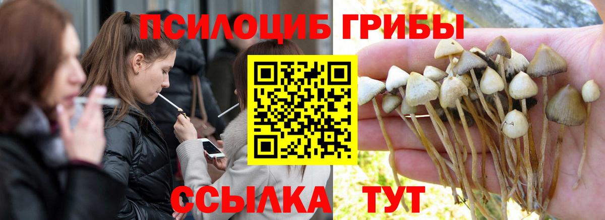 Псилоцибиновые грибы ЛСД  закладка  Вход с VPN  Норильск  Галлюциногенные грибы ЛСД 